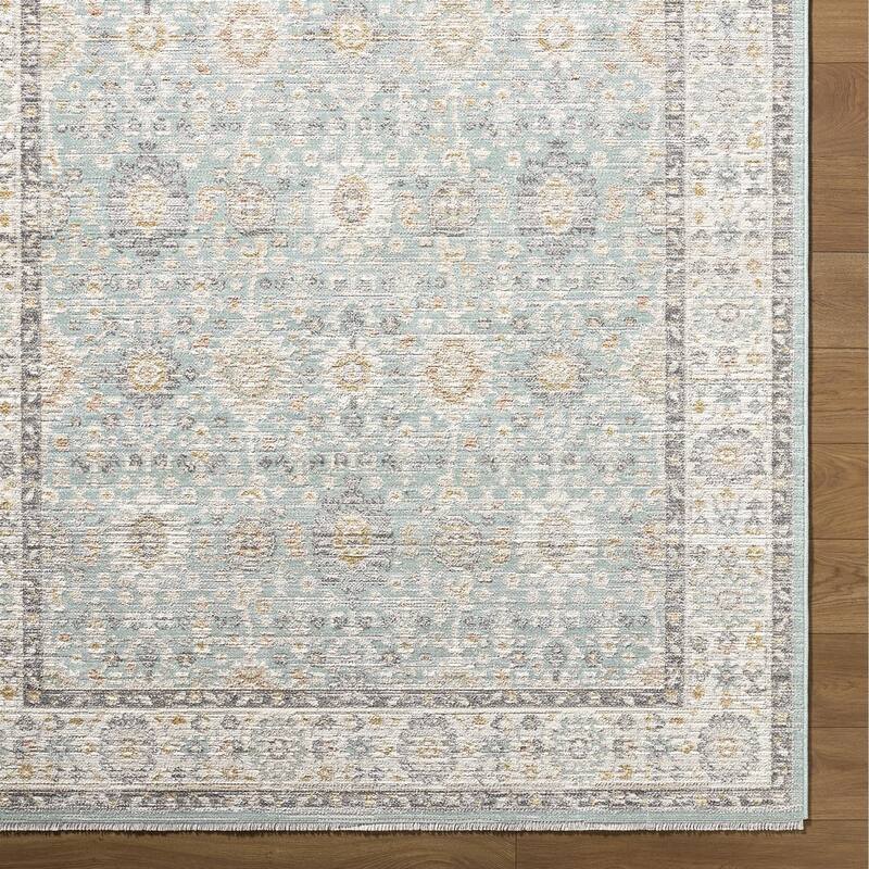 Livabliss Amir Traditional Area Rug