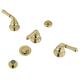 Option Polished Brass
