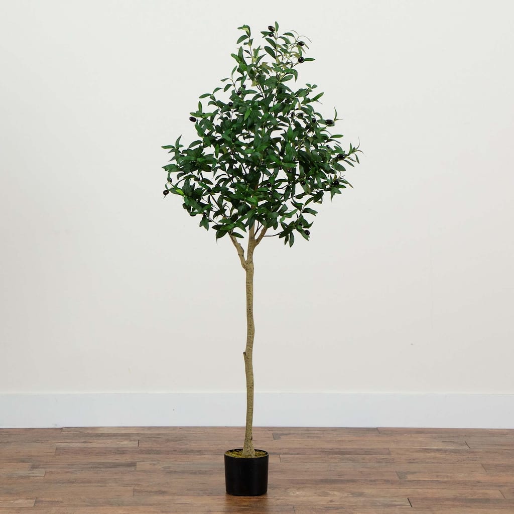 Potted Black Olive Artificial Tree - 5'