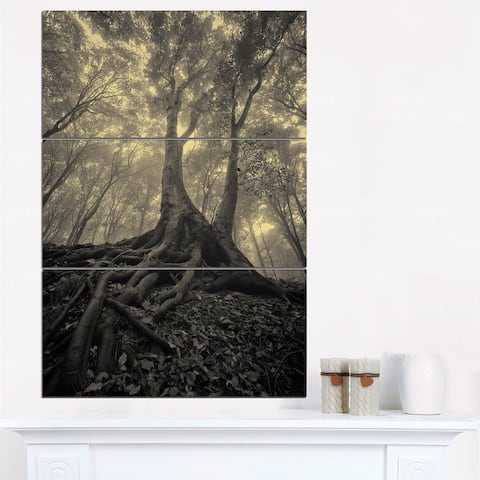 Designart 'Tree with Big Roots on Halloween' Landscape Photography Canvas Print - 28x36 - 3 Panels