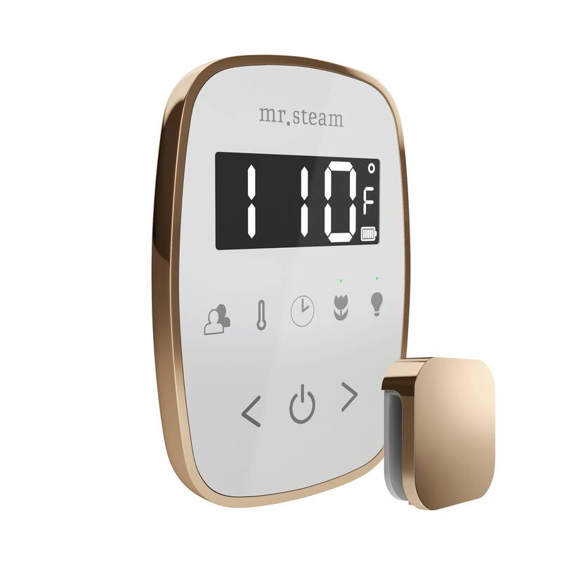 Mr Steam TF Tempoflex Steam Shower Control and Steamhead