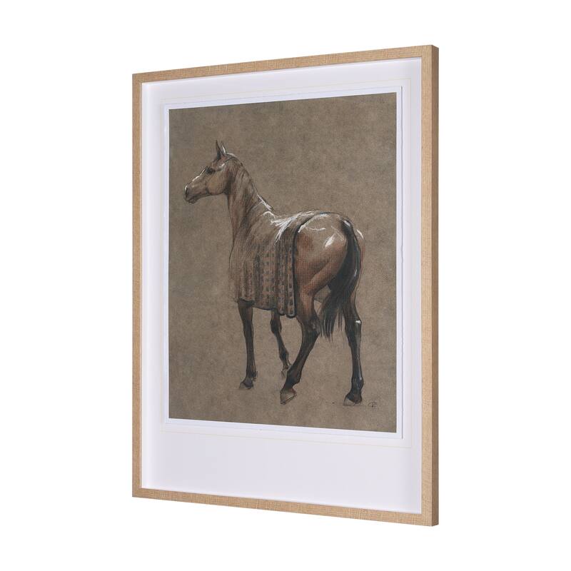 Buckskin Blanket Framed Art Print