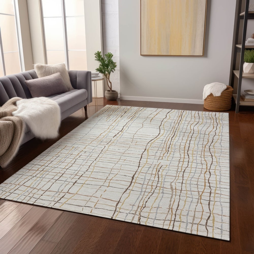Machine Washable Indoor/ Outdoor Modern Century Chantille Rug