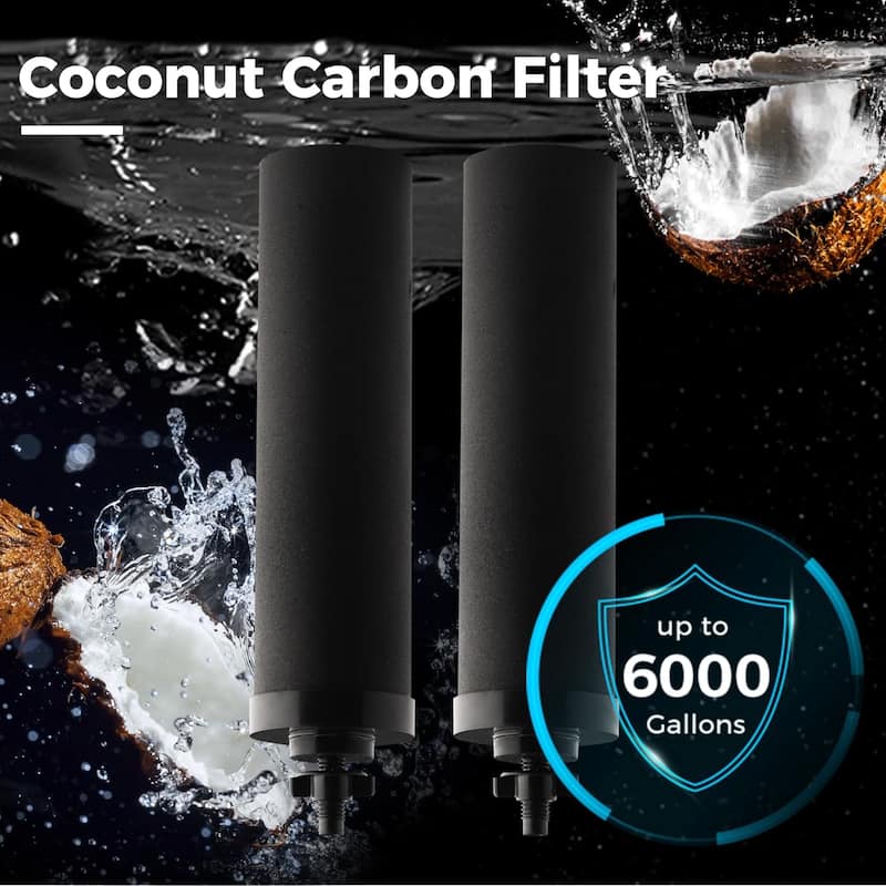 iSpring FDGF2 Activated Carbon Water Filter for iSpring DGF2 Gravity-fed Stainless Steel Countertop Water Filter System