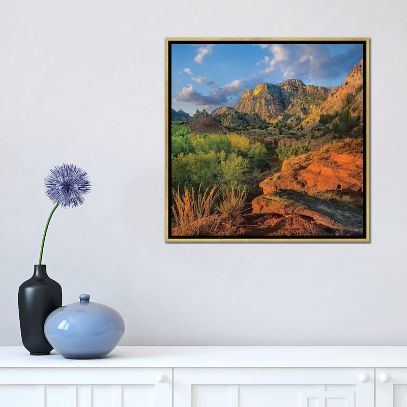 iCanvas "Cottonwood Trees And Mountains, Palo Duro Canyon State Park, Texas" by Tim Fitzharris Framed Canvas Print