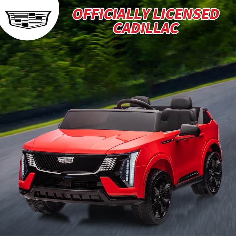 2 Seater Ride on Car for Kids 24V Electric Car Toy