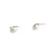 Option Polished Nickel