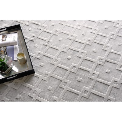 Exquisite Rugs Camora Modern Handmade Handloomed Silky Nylon Light Silver Area Rug