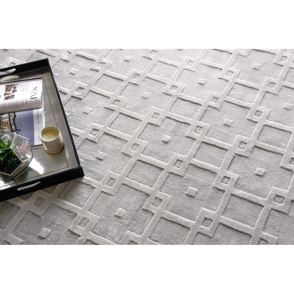 Exquisite Rugs Camora Modern Handmade Handloomed Silky Nylon Light Silver Area Rug