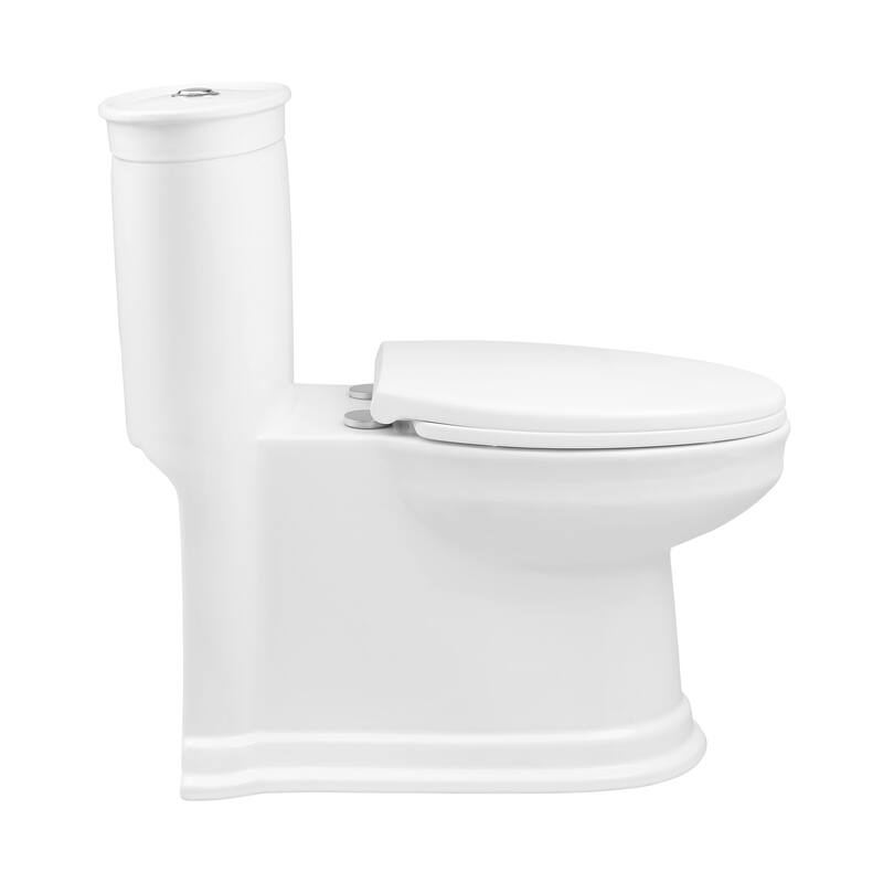 Celeste One-Piece Elongated Toilet Dual-Flush 1.1/1.6 Gpf - 30.7" x 16.25" 30.25"