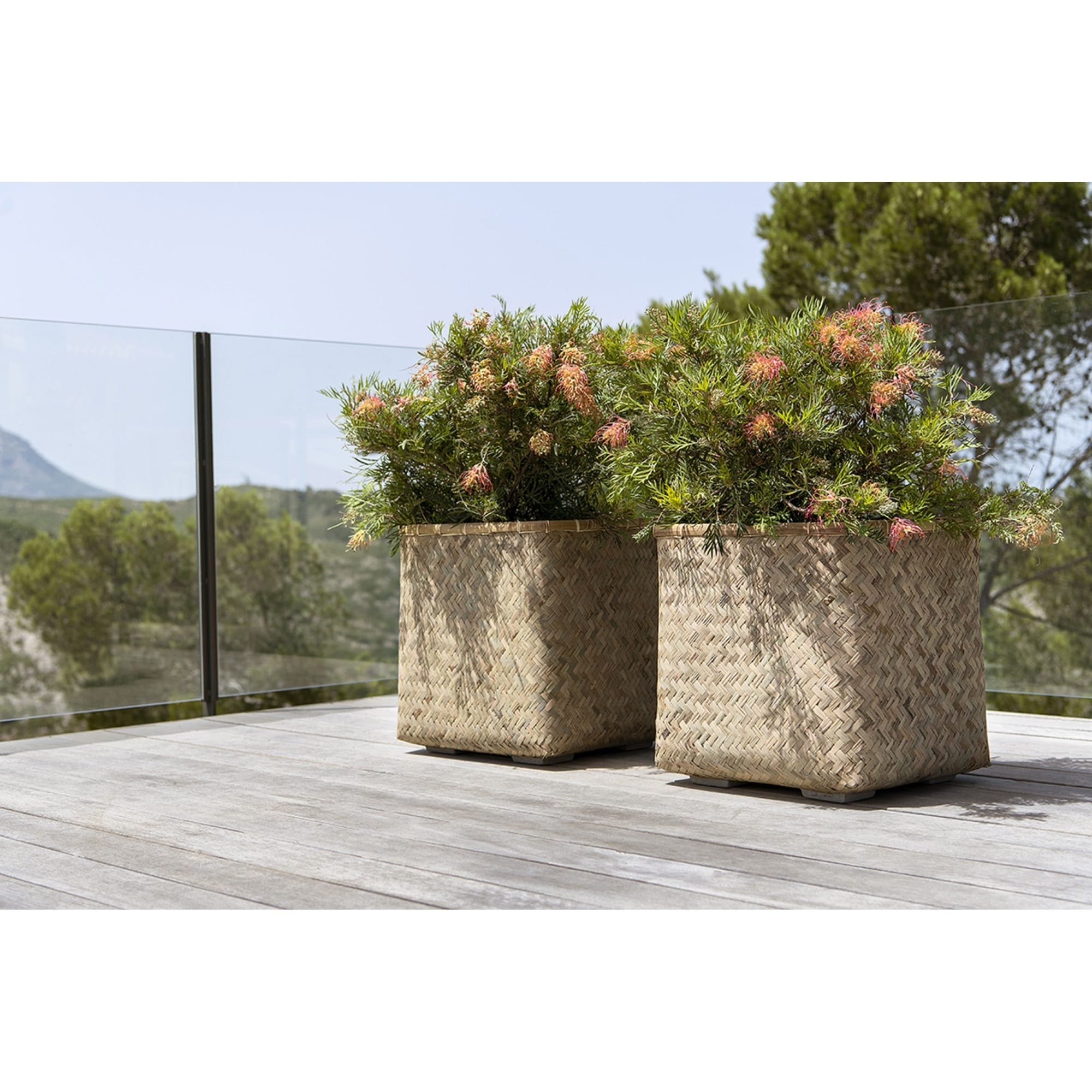 【kobe plants】 Pottery Pots Kobe Bamboo Indoor Outdoor Square Planter, Natural