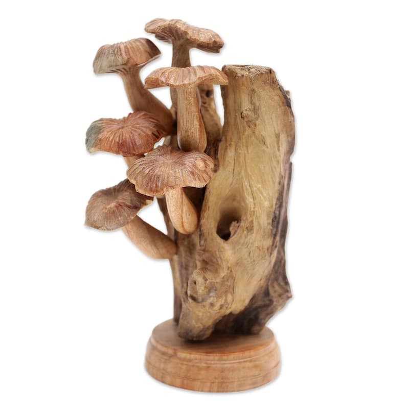 Novica Handmade Mushroom Path Wood Sculpture