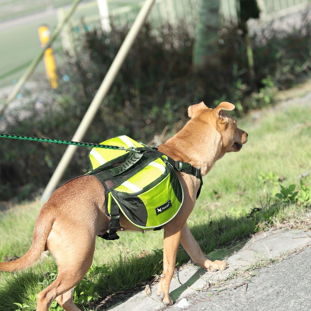 tailup dog sling