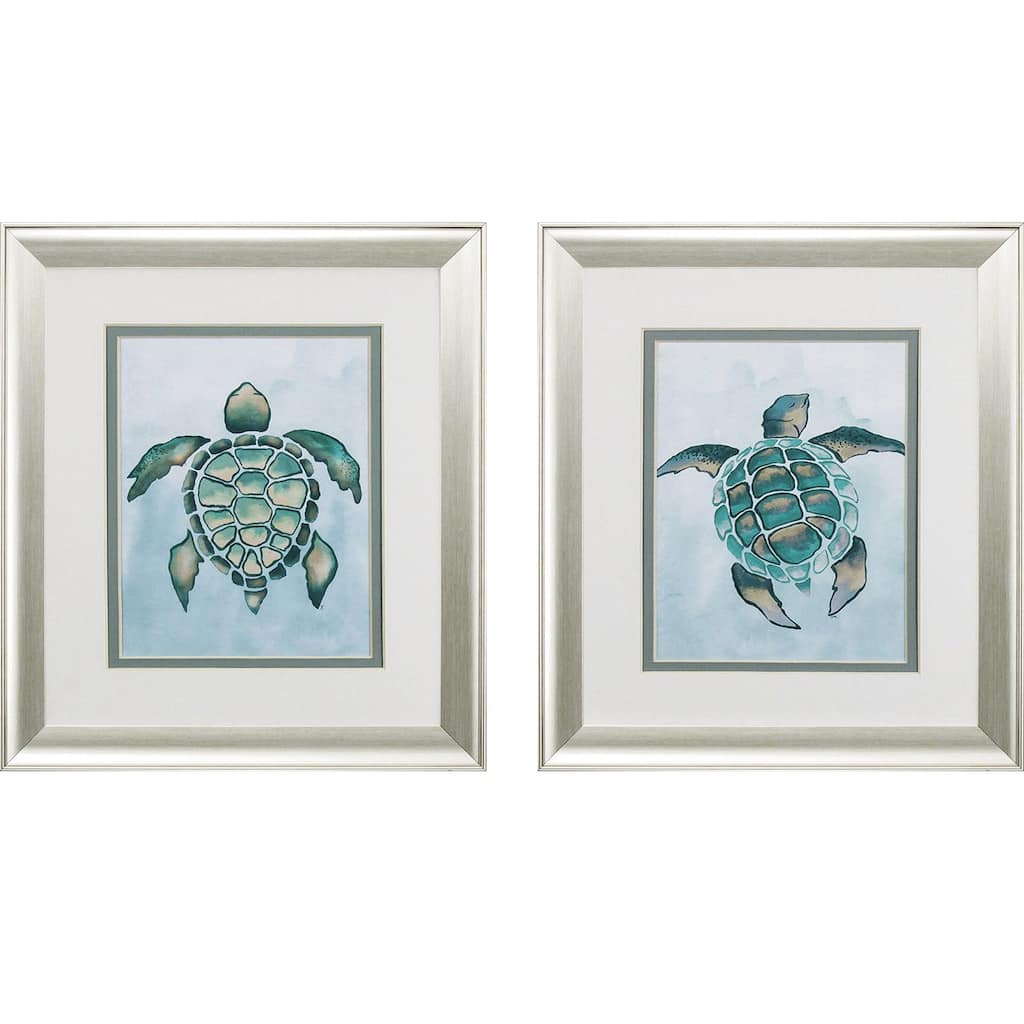 Aquatic Turtle S/2 Framed Art Under glass