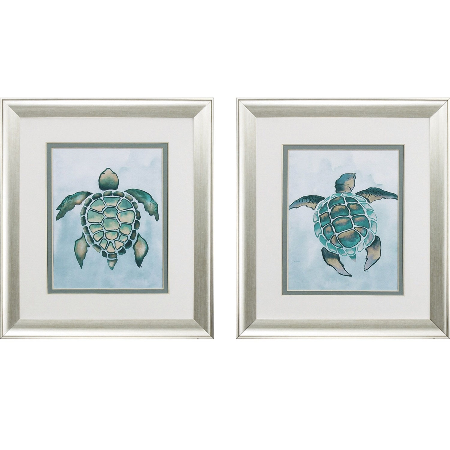 Aquatic Turtle S/2 Framed Art Under glass