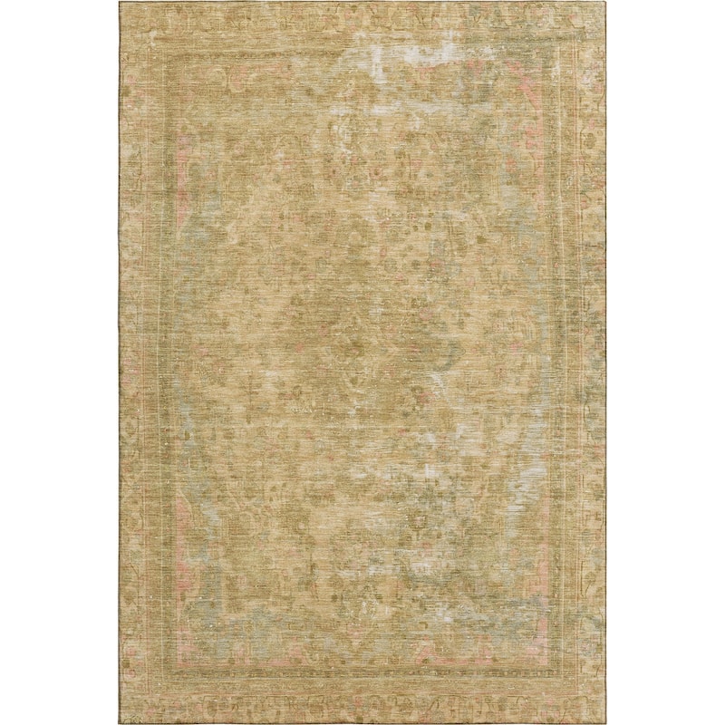 Premium Washable Super Soft Vintage Traditional Mayfield Rug