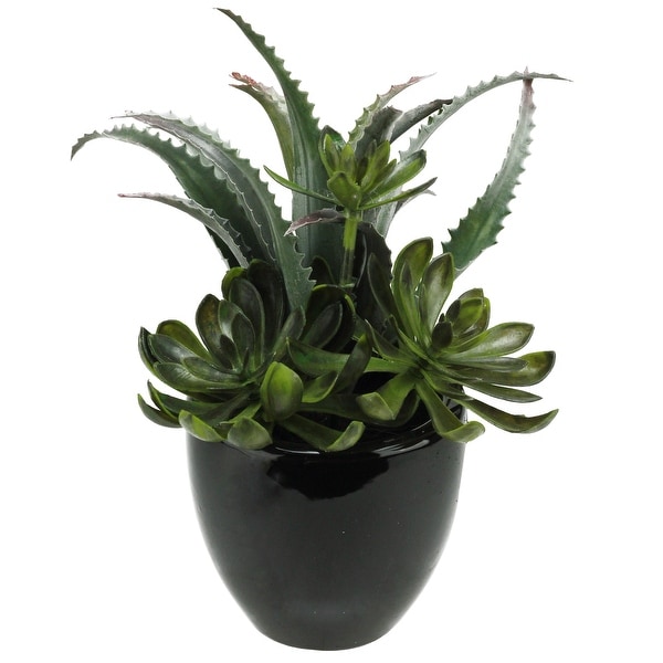 11" Potted Artificial Mixed Green and Red Succulent Plant Arrangement - N/A