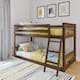 Option Walnut
