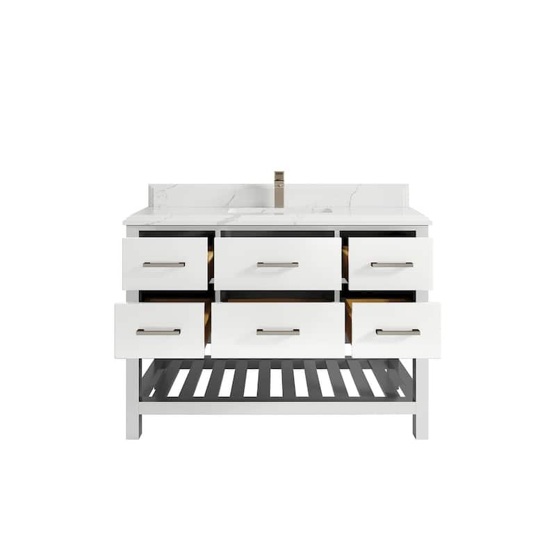 Willow Collections 48 in. W x 22 in. D Parker Single Sink Bathroom Vanity with Countertop