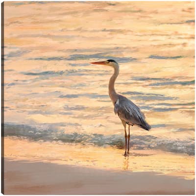 Night Light By Studio Arts Canvas Art Print
