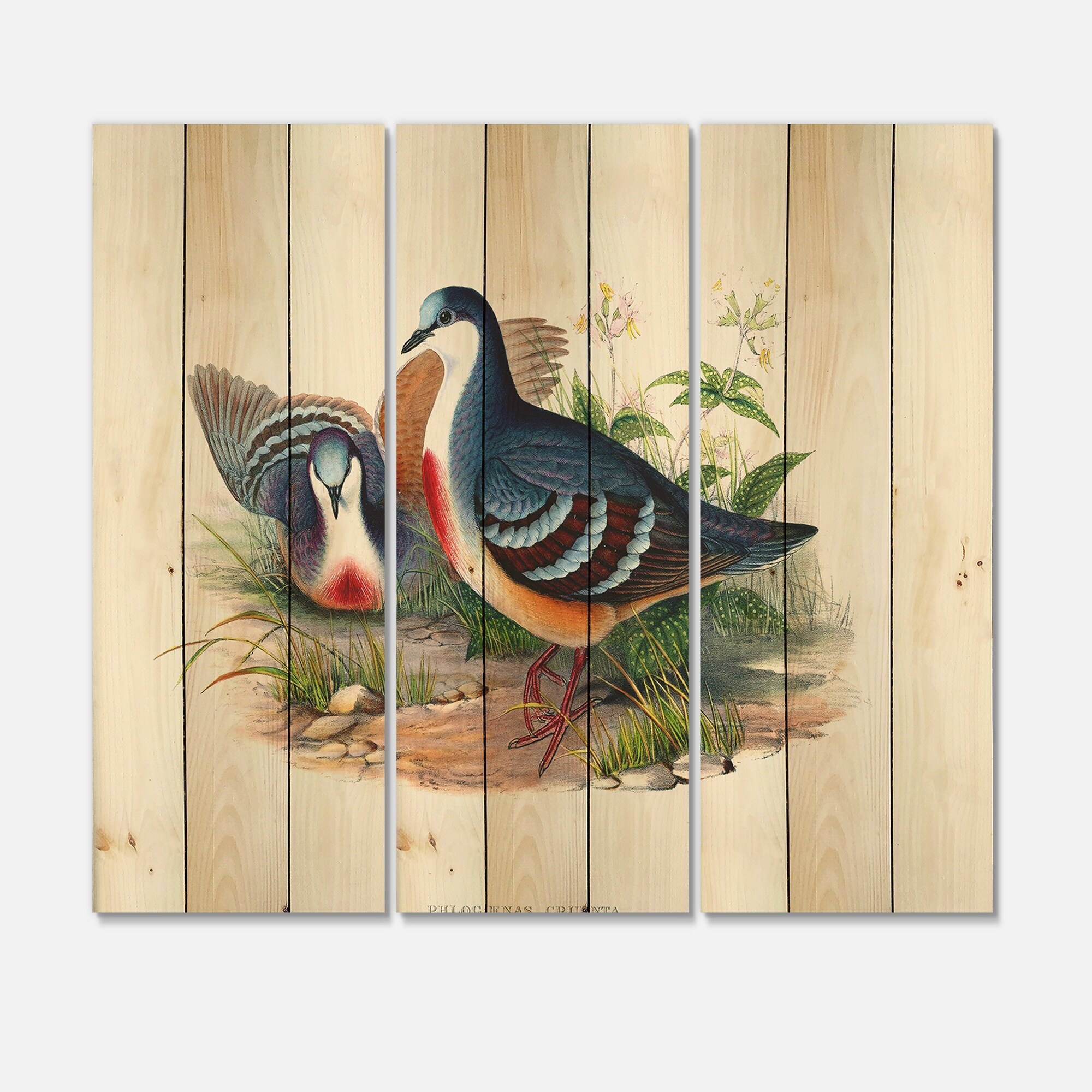 Designart 'Vintage Birds In The Wild IV' Traditional Print-image