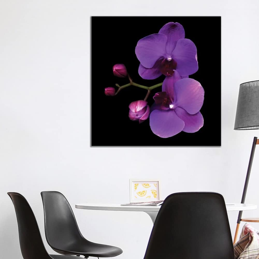 iCanvas "The Color Purple" by Magda Indigo Canvas Print