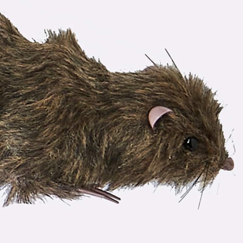 10" Rat