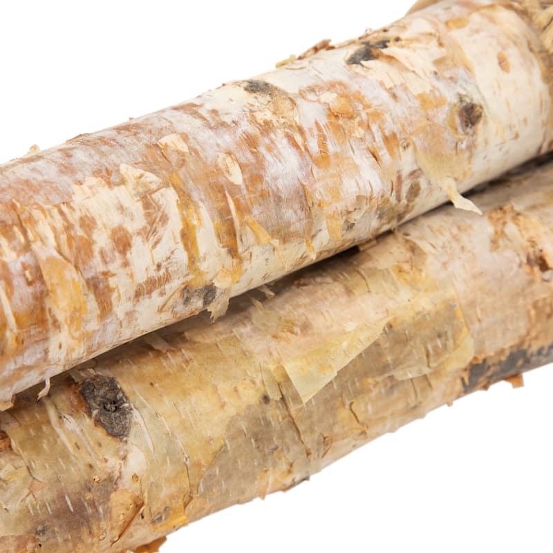 38.5" Birch Wood Branch Bundle Christmas Display