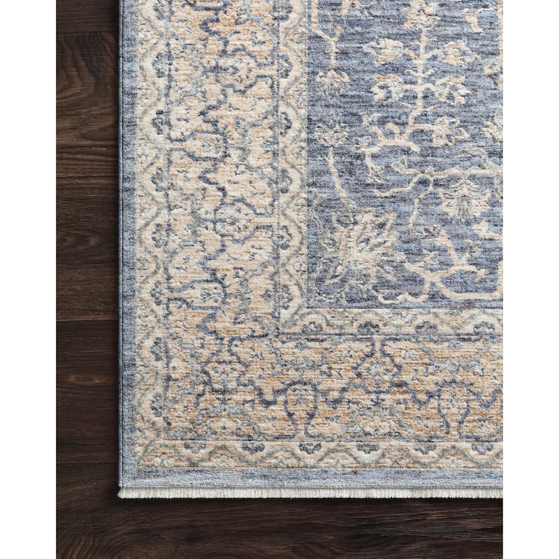 Alexander Home Malina Shabby-Chic Botanical Vintage Area Rug