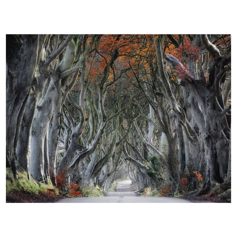 Twisted Canvas Art Print