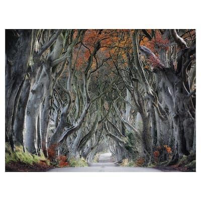 Twisted Canvas Art Print