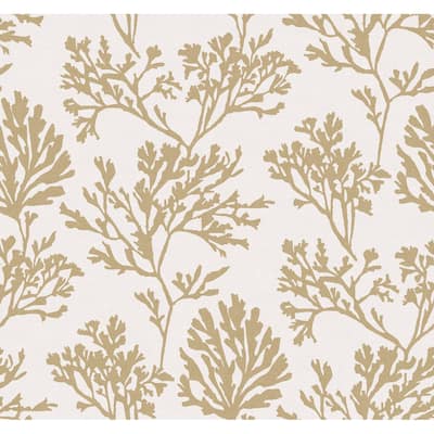 A-Street Prints Tortuga Gold Coral Weave Wallpaper