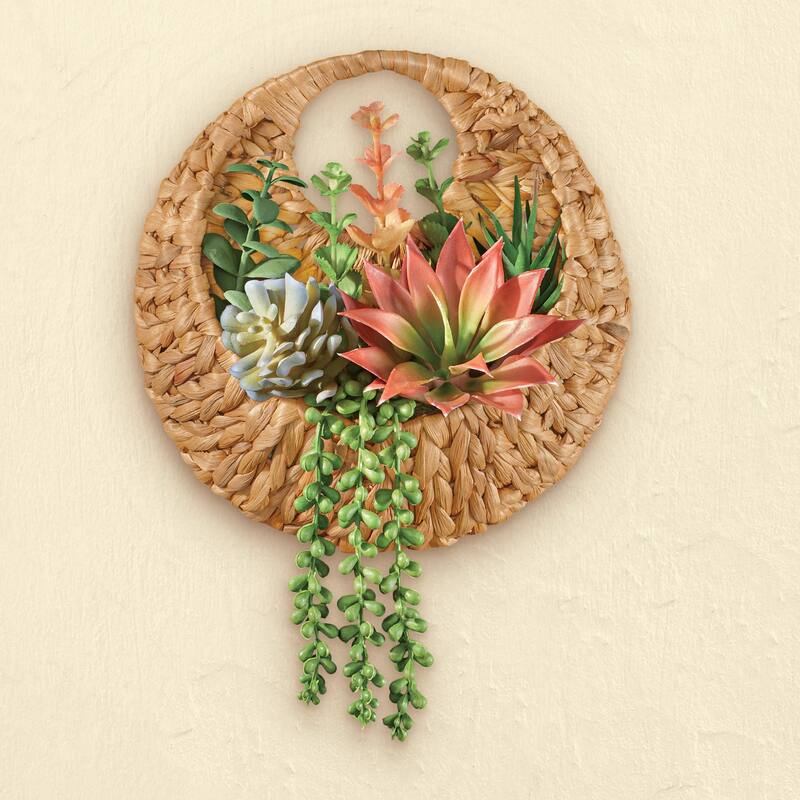 Realistic Artificial Succulent Hanging Basket - 10 x 16 x 10 - 10 x 16 x 10