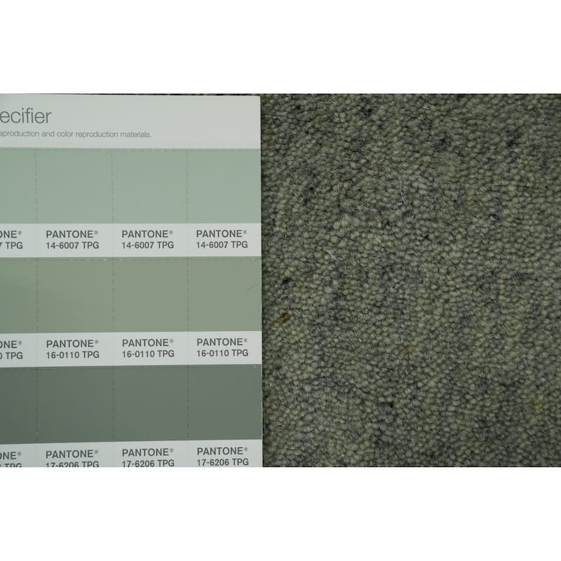 Hand Knotted Oriental 100% Wool Carpet Tribal Animal Pictorial Green Gabbeh Area Rug - 9' 9'' X 10' 0''