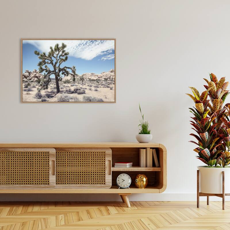 Yucca by Shot by Clint Framed Canvas Wall Art Print