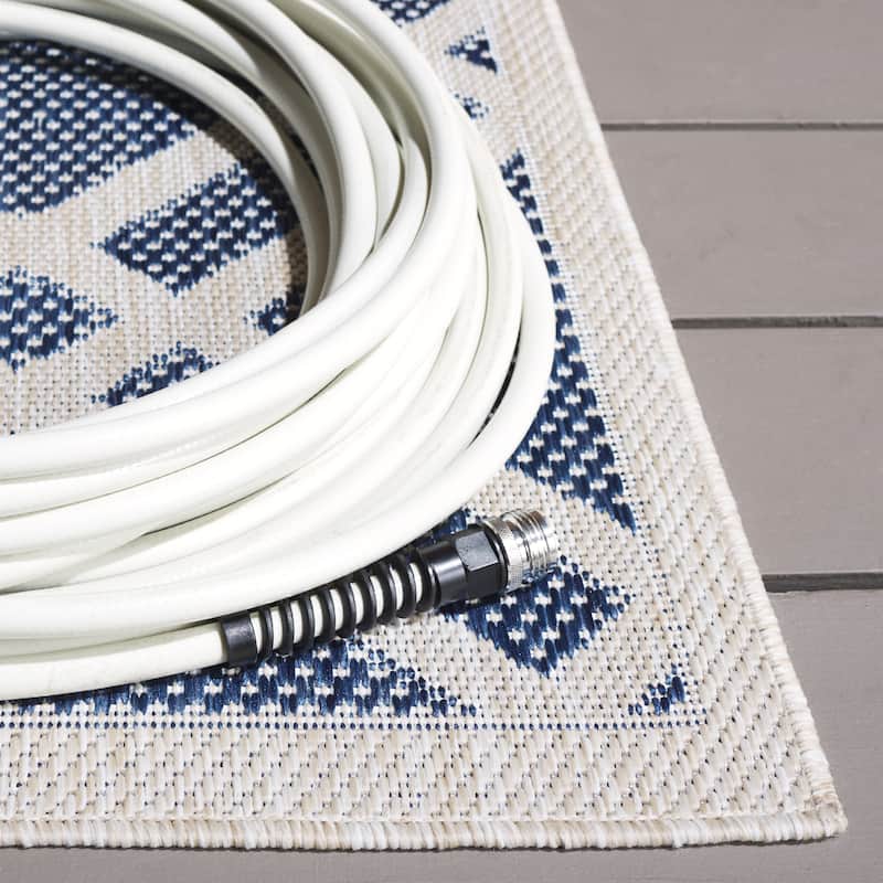 SAFAVIEH Beach House Janieke Transitional Rug