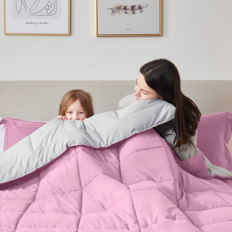 Empyrean All Season Alternative Down Lightweight Reversible Comforter Set