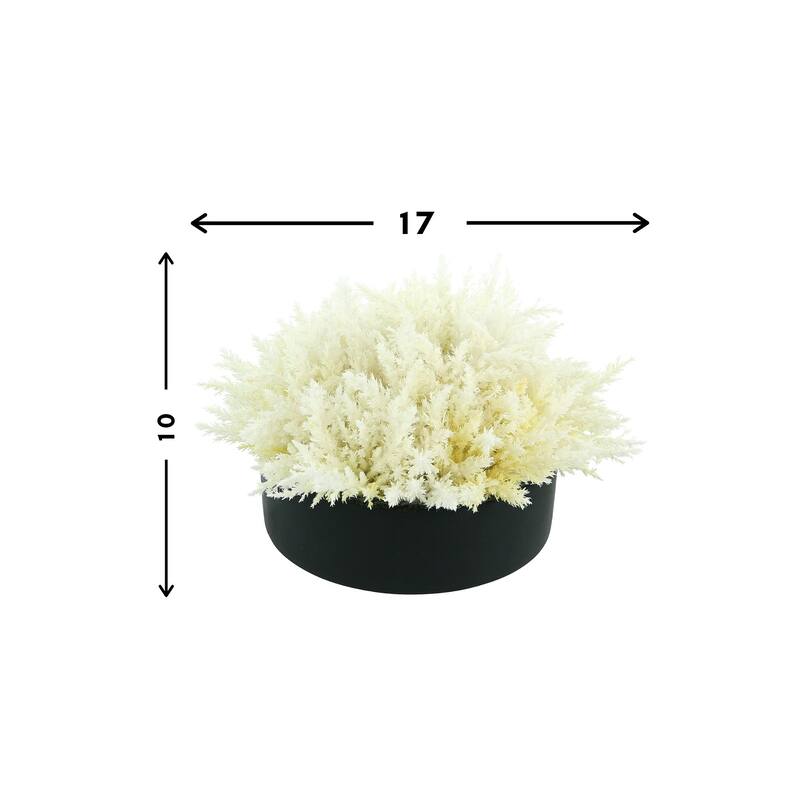 Pampas Grass in Round Fiberstone Planter - White, Black