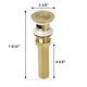 preview thumbnail 15 of 14, Pop-up Bathroom Sink Drain With Overflow