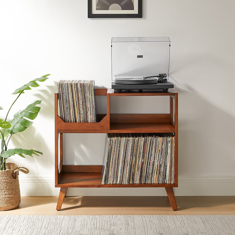 Asheville Medium Record Storage Console