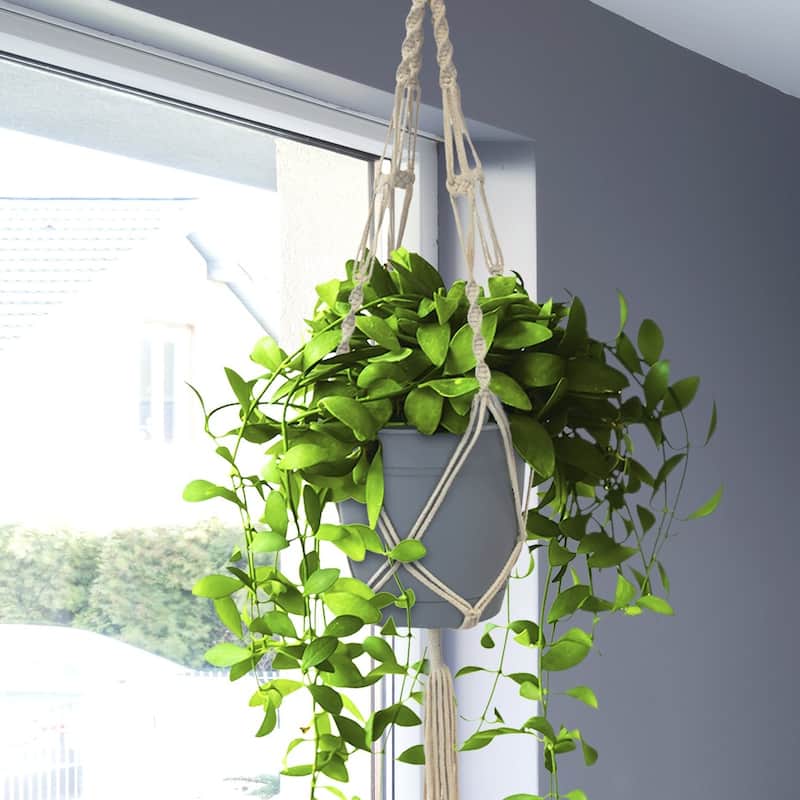 Macrame Plant Hanger (4, 6, 8 Pack) Hanging Plant Pots Cotton Rope