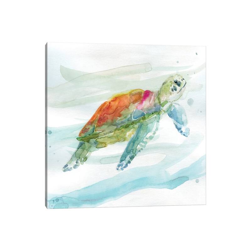 iCanvas "Turtle Tropics I" by Carol Robinson Canvas Print