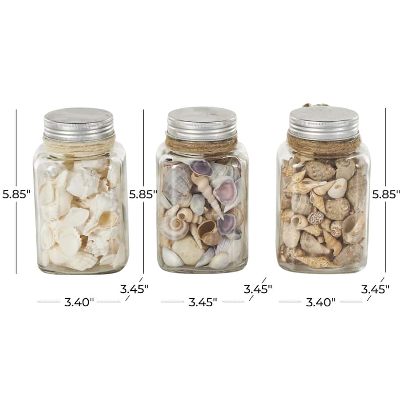 Glass Orbs & Vase Filler with Seashells and Jute Rope Accents - Set of 3 Clear - Roche River Decor - 3"W x 3"L x 6"H
