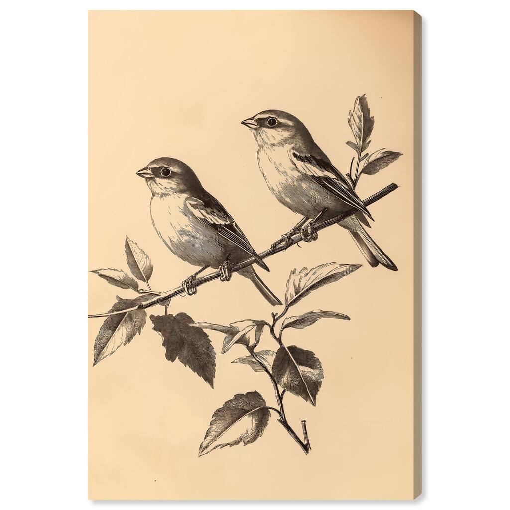 Pair of Finches I Canvas by Art Remedy, Gallery Wrapped