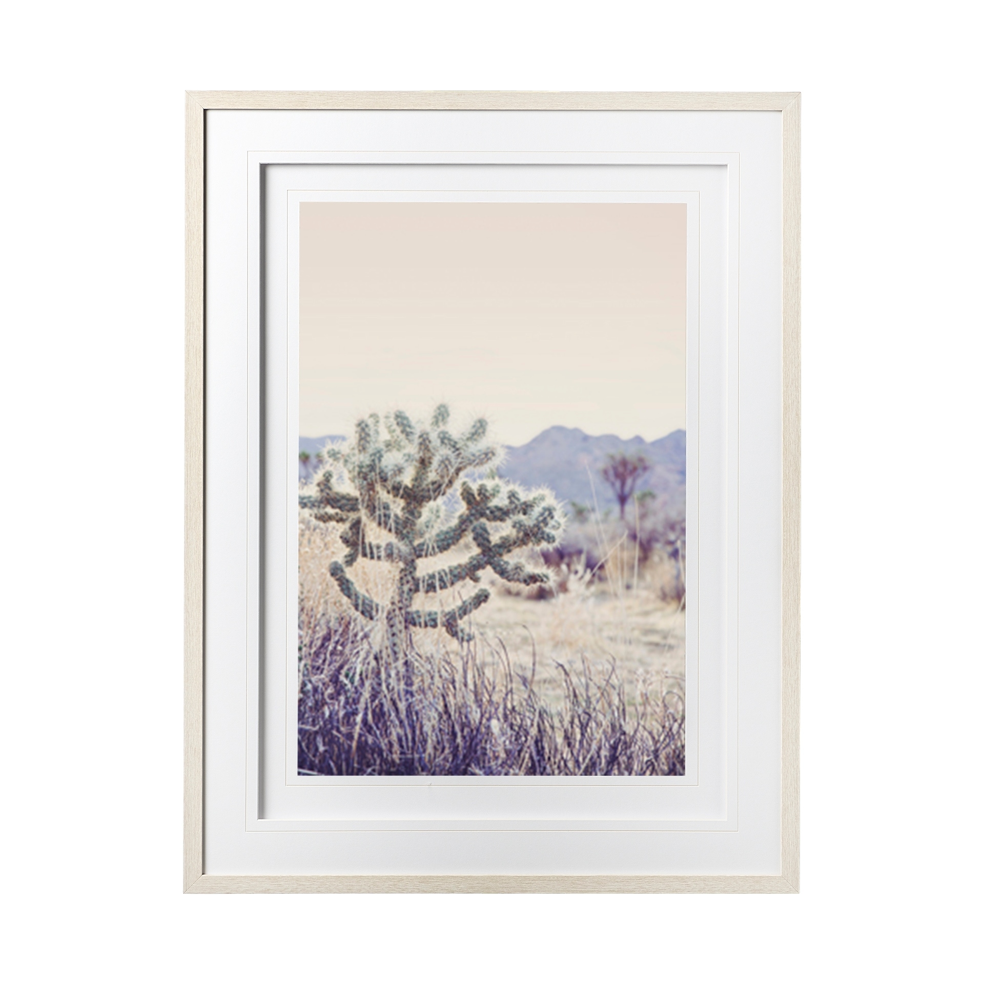 Mercana Arid Rose by Irene Suchocki a Hand Embellished Textured Framed Art Photograph Matted under Glass