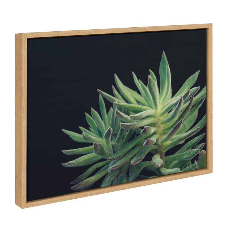 Kate and Laurel Sylvie Succulent 13 Framed Canvas by F2 Images