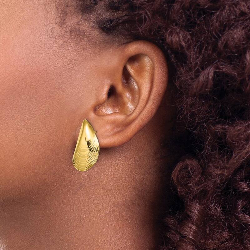Curata 14k Yellow Gold Polished Mussel Shell Post Earrings 24.4x13.2mm