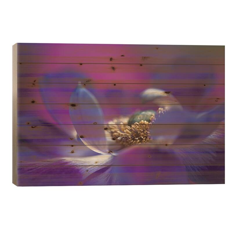 Windflower I Print On Wood by Jacky Parker - Multi-Color - 18x26x1.5