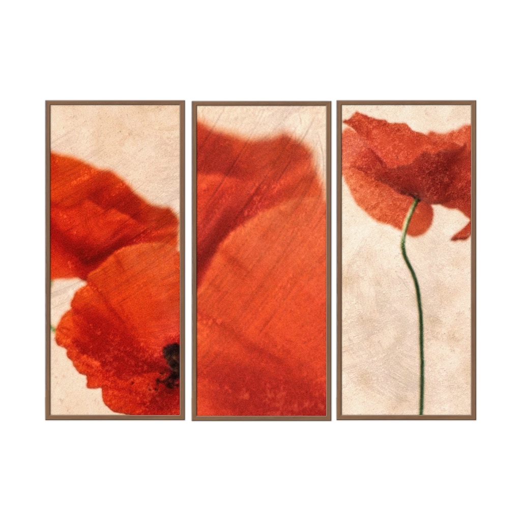 "Three Red" Framed 3-Piece Wall Art Set by Delphine Devos