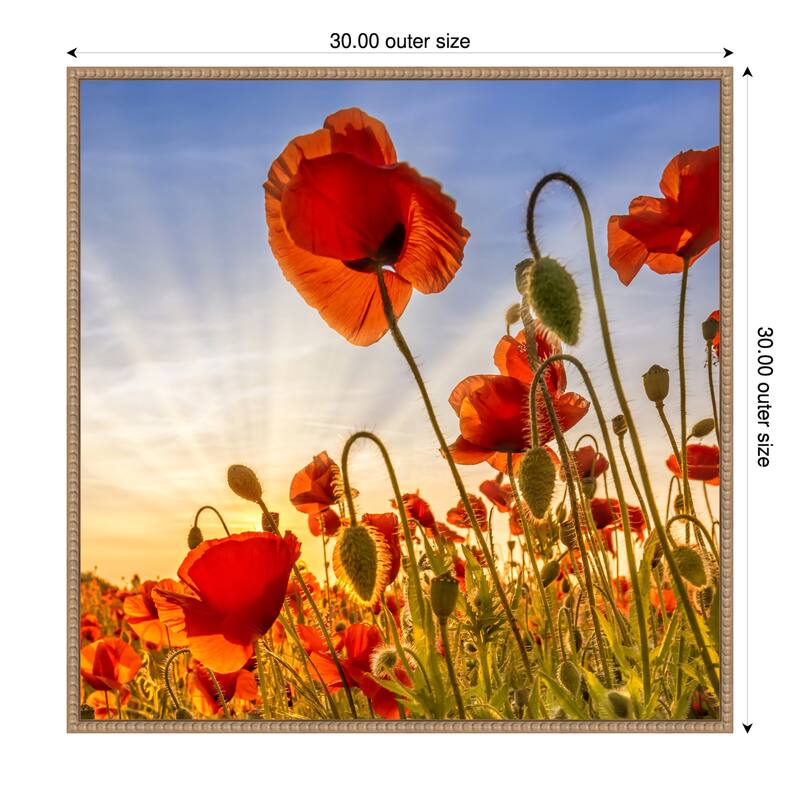 Fascinating Poppies by Melanie Viola Framed Canvas Wall Art Print - 30 x 30 in